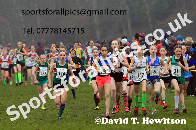 Girls Under-13s 2023 Northern Cross Country Champs., Witton Park, Blackburn. Photo: David T. Hewitson/Sports for All Pics